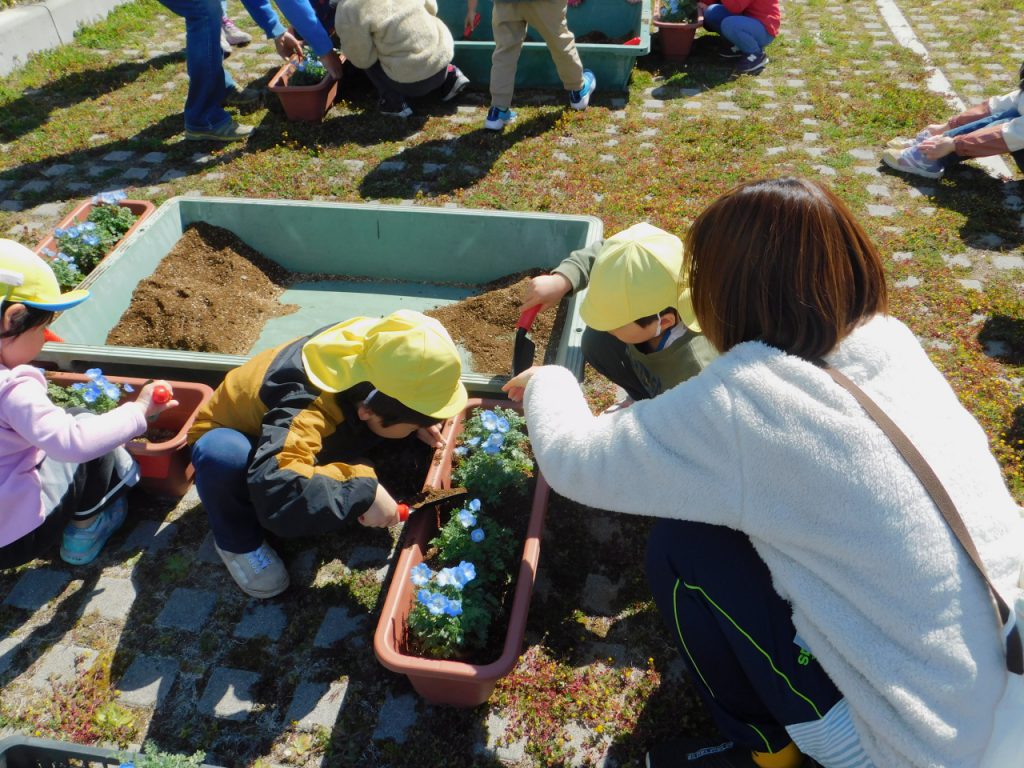 20240321ナーサリースクール花植え02